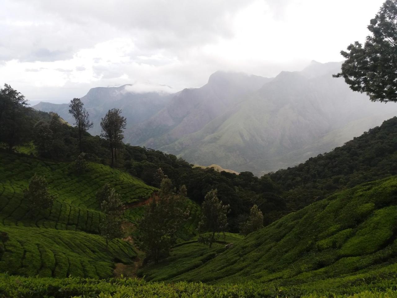 Hotel Monsoon Grande Munnar Esterno foto